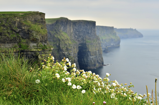 large image of Cliffs of Moher